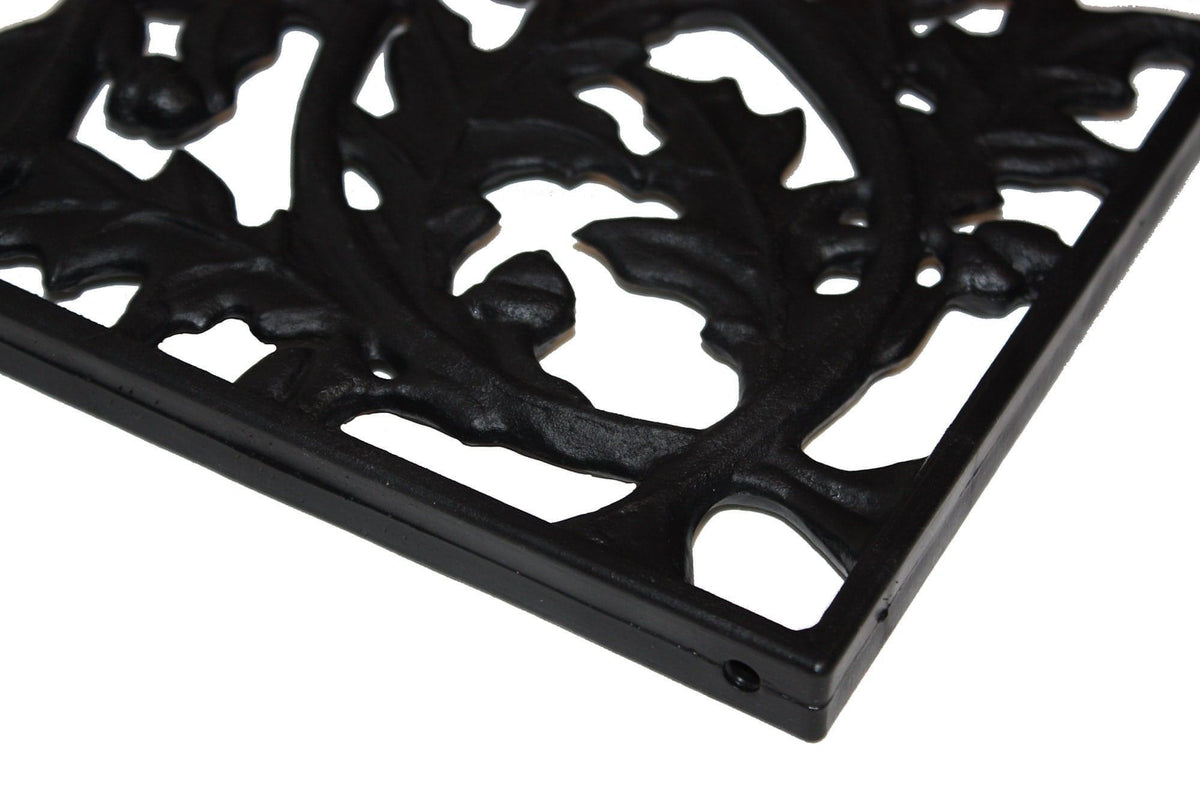 Oak Bracket