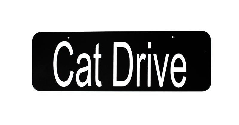 Personalized Nameplate for Address Sign - 4" x 12" - Applied